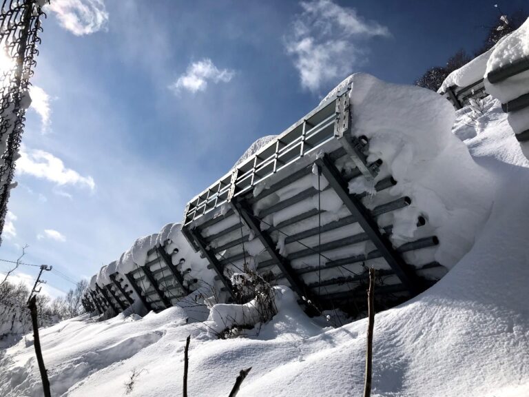 巻き垂れ予防柵